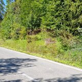 Teren de vanzare in zona Cota 1000 – Sinaia